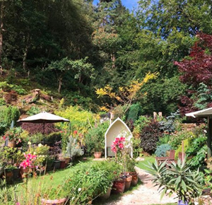 The beautiful gardens at Ramblers Retreat Country Tea Room, Staffordshire